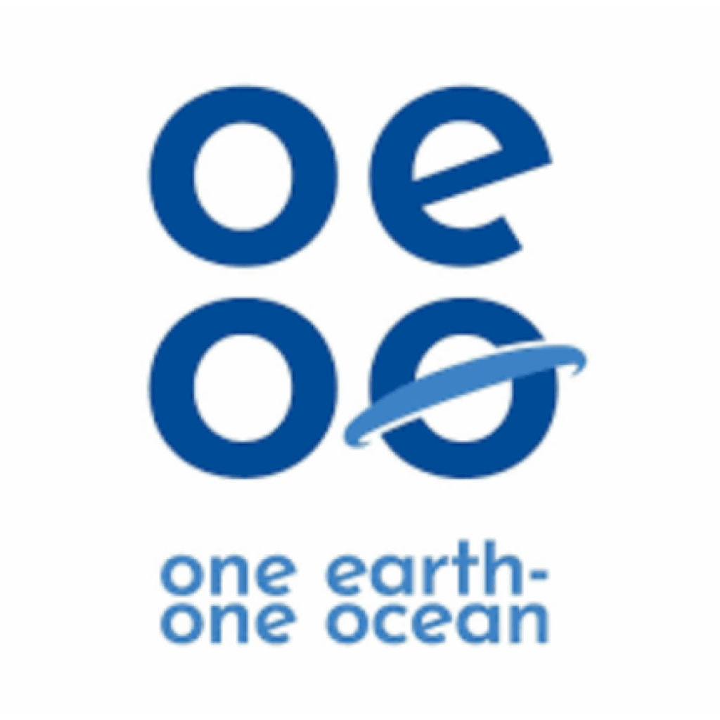In Mocean Allie One Earth One Ocean